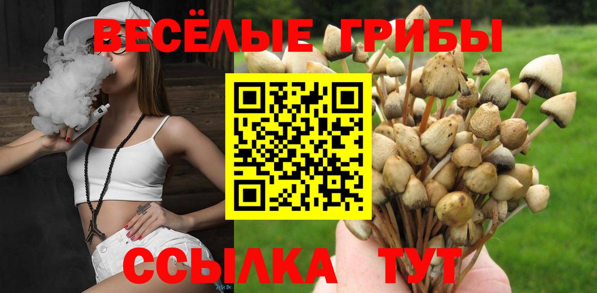 Псилоцибиновые грибы MAGIC MUSHROOMS Донской